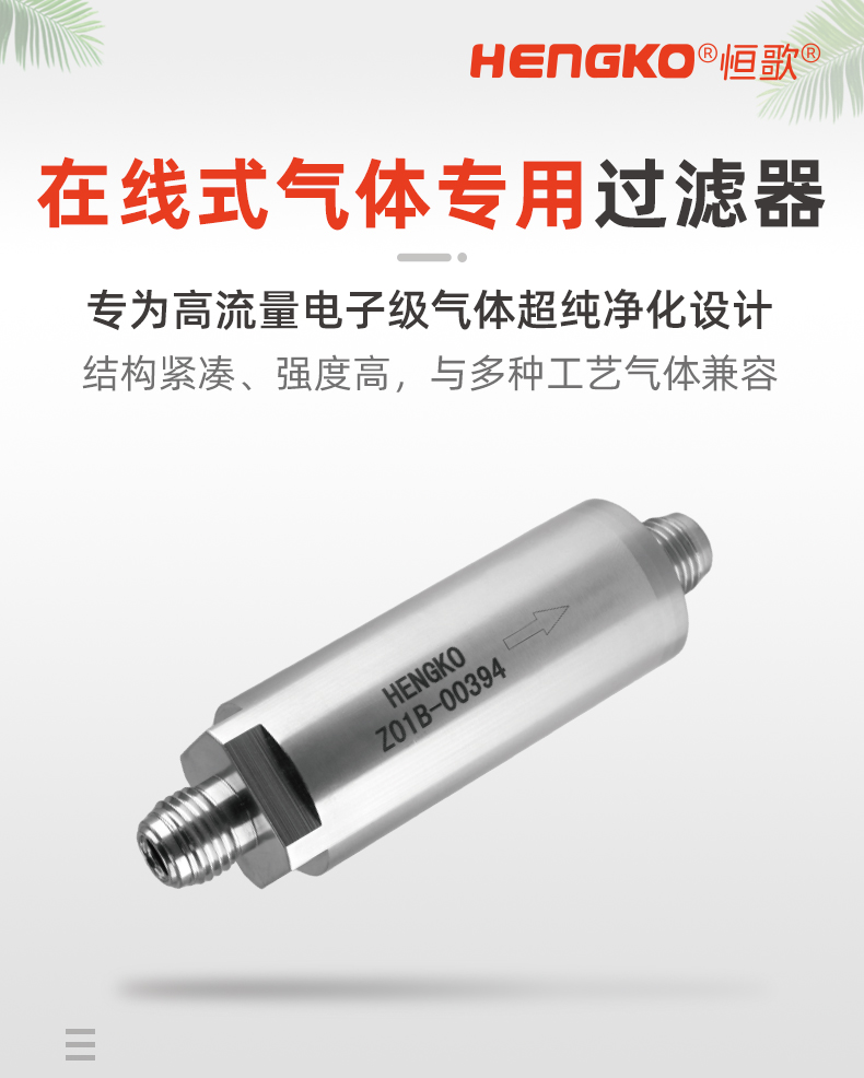 20241130-在线式专用气体过滤器_01.jpg